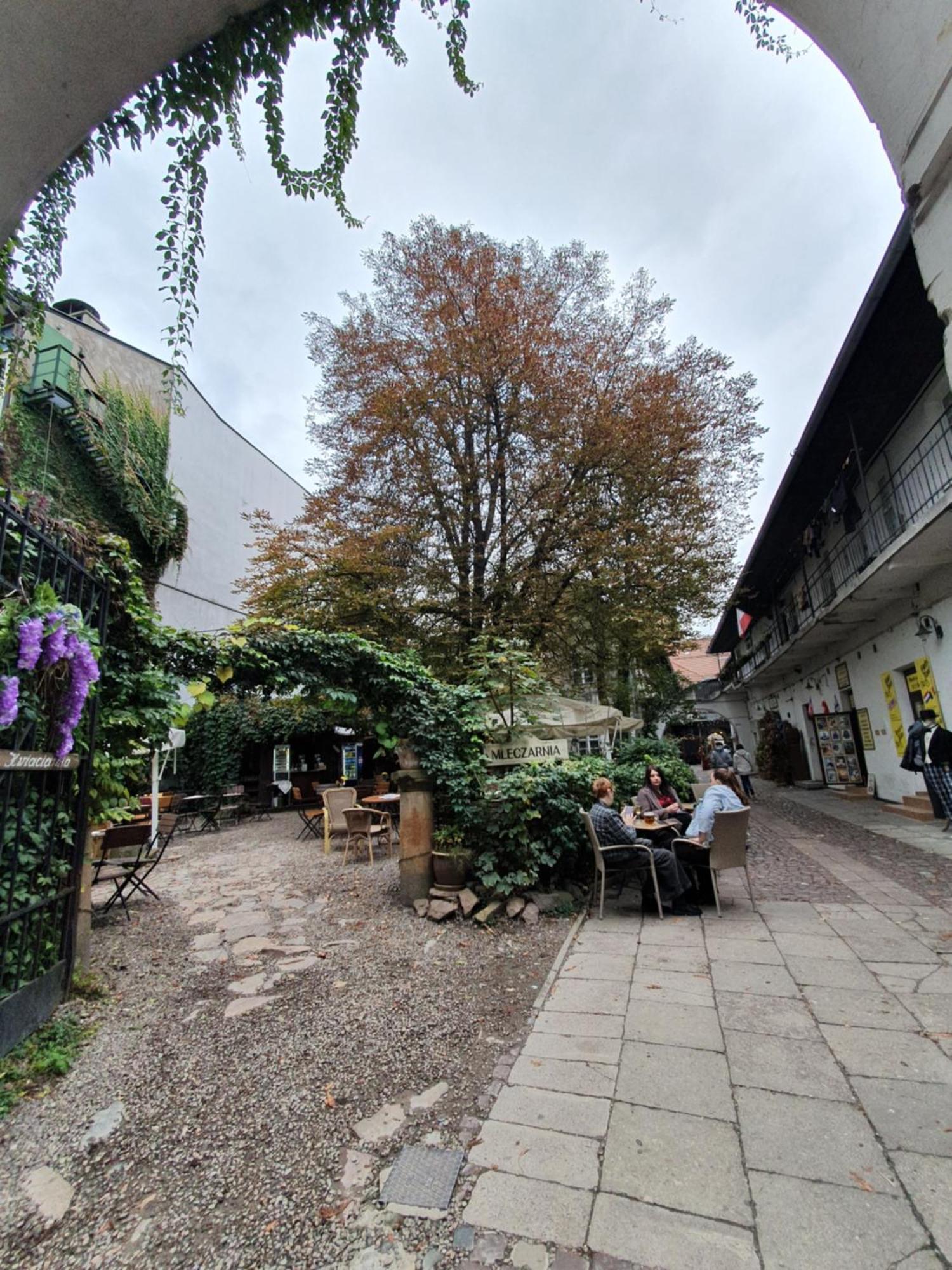 B-4 Krakow Stary Kazimierz O&P Apartfamily Eksteriør billede